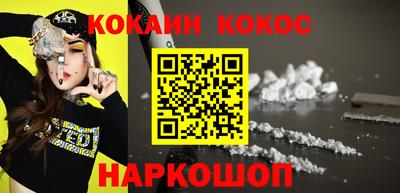 спайс Кингисепп