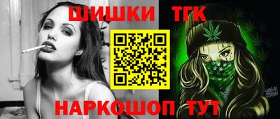 спайс Кингисепп