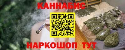 спайс Кингисепп