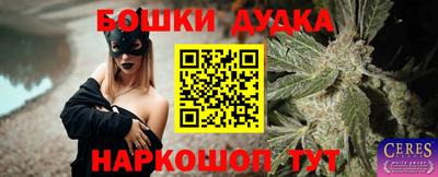 спайс Кингисепп