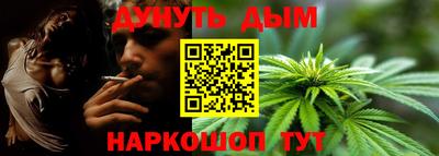 спайс Кингисепп