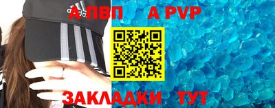 спайс Кингисепп