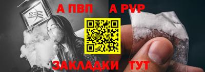 спайс Кингисепп