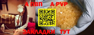 спайс Кингисепп