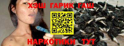 спайс Кингисепп
