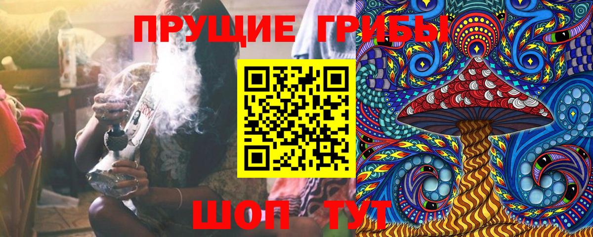 Галлюциногенные грибы GOLDEN TEACHER Киселёвск